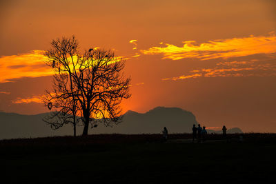 Silhouette tree on field against orange sky