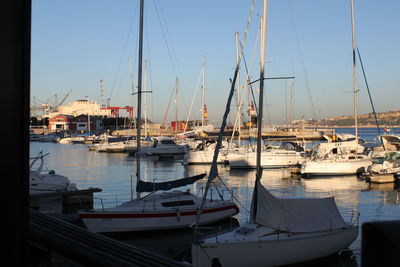 Sailboats moored at harbor