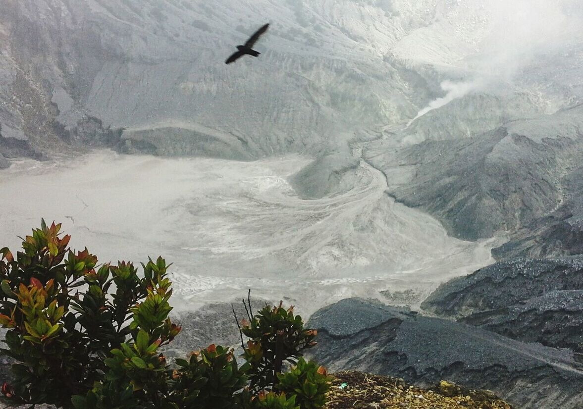 SCENIC VIEW OF LANDSCAPE AGAINST MOUNTAINS