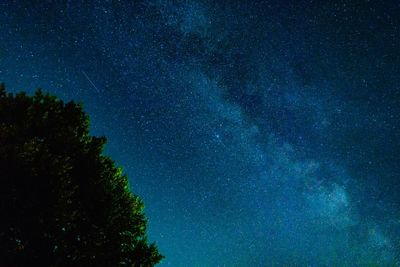 Low angle view of trees against star field