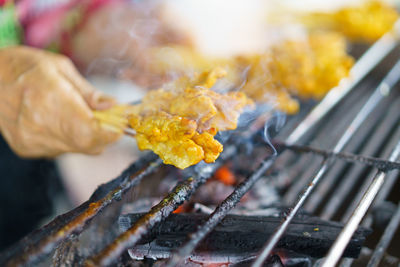 Close-up of hand holding leaf on barbecue grill
