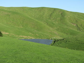 Scenic view of green landscape against sky