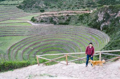 High angle view of man walking with dog on landscape