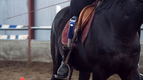 Rear view of horses in pen