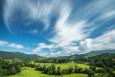 Scenic view of trees on field against sky