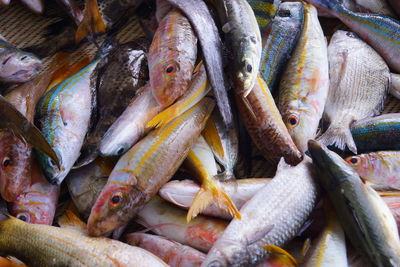 Full frame shot of fishes for sale at market