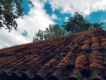 Low angle view of roof and tree against sky