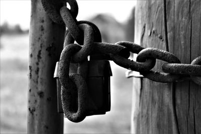 Close-up of padlock and chain on wooden posts