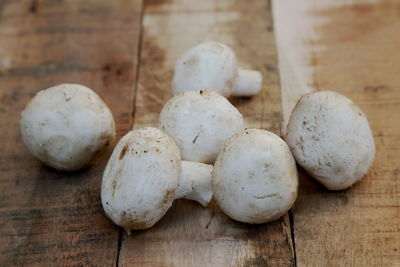 Close-up of mushrooms on table