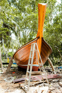 Wooden chairs on beach against trees in forest