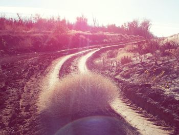 Dirt road passing through field