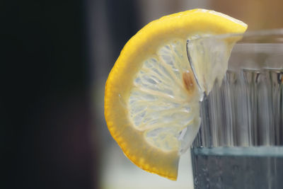 Close-up of lemon slice in glass