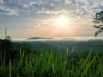 Scenic view of landscape against sky during sunset