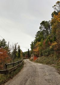 Road amidst trees against sky during autumn