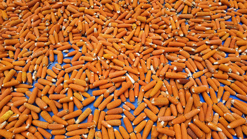 Full frame shot of onions for sale