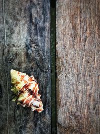 Close-up of fish on barbecue grill