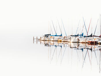 Sailboats in marina against clear sky