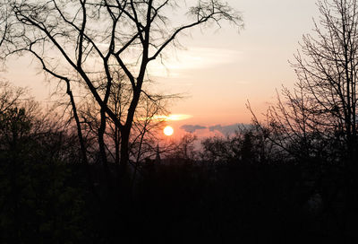 Silhouette bare trees against sky during sunset