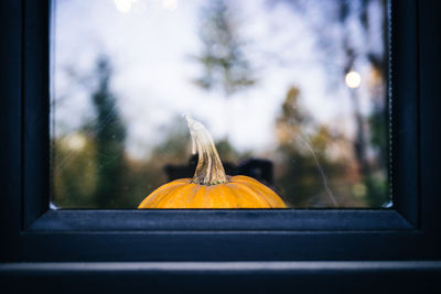 Close-up of pumpkin on glass window