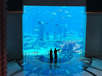 View of fish in aquarium