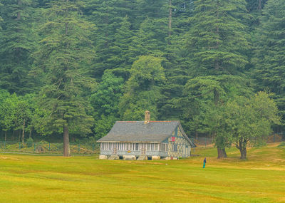 Trees and plants on field in a house