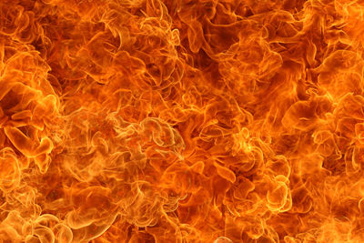 Close-up of orange fire crackers against black background