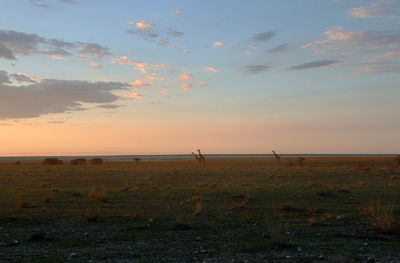 Scenic view of sunset over sea