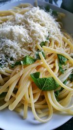 Close-up of noodles in plate