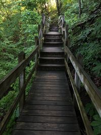 Steps leading to wooden footbridge