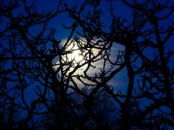 Low angle view of silhouette bare tree against blue sky