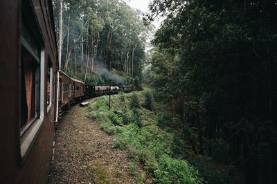 Walkway amidst trees against sky