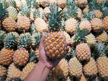 Hand holding fruits at market