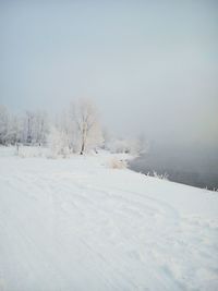 Scenic view of snow covered field