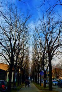 Road along buildings