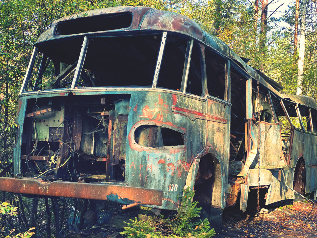 ABANDONED TRUCK IN FOREST