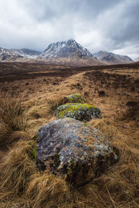 Scenic view of landscape against sky