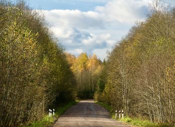 Empty road along trees and plants against sky