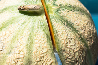 Close-up of bread