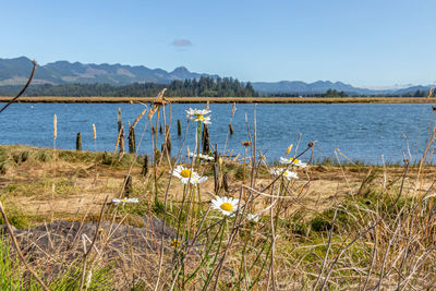 Scenic view of lake against sky