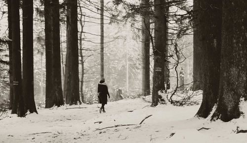 People walking in forest