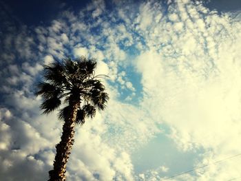 Low angle view of trees against cloudy sky