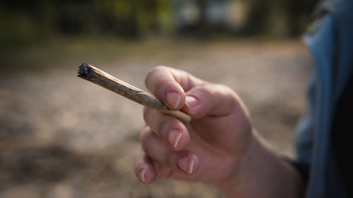 Close-up of woman holding marijuana joint