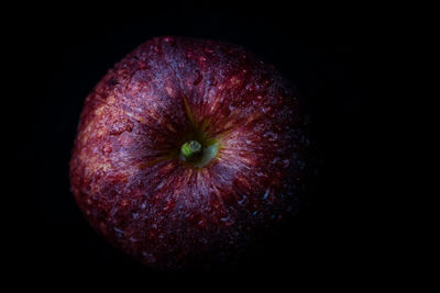 Close-up of apple against black background