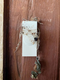 Directly above shot of old wooden door