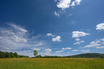 Scenic view of field against sky