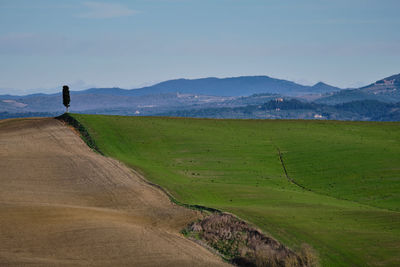 Scenic view of field against sky