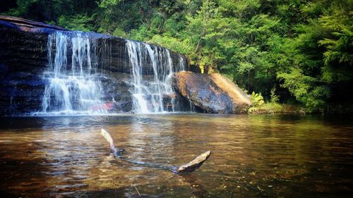 Scenic view of waterfall in forest