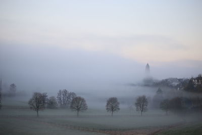 Trees on field against sky during foggy weather