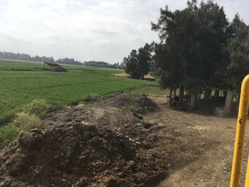 Scenic view of field against sky