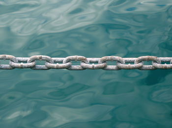 Reflection of trees in water